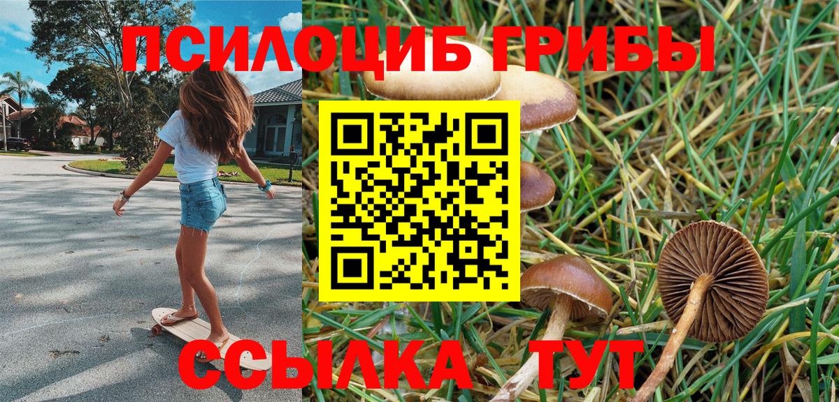 Кудымкар  Галлюциногенные грибы Psilocybine cubensis  Вход с VPN 